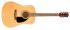 097-1210-721 Fender FA-115 Dreadnought Acoustic Guitar Pack With Gig Bag, Strap, Picks and Strings